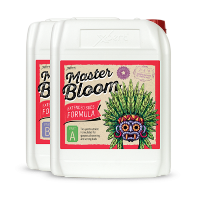 Master Bloom A + B 10L - îngrășământ mineral pentru înflorire