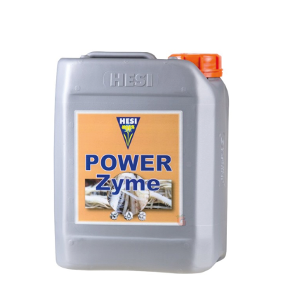 POWER Zyme - enzyme supplement