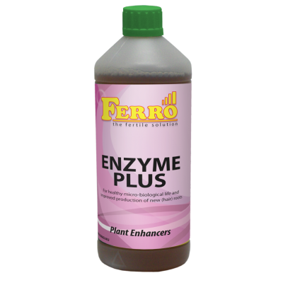 Ferro Enzyme Plus – Enzymergänzung