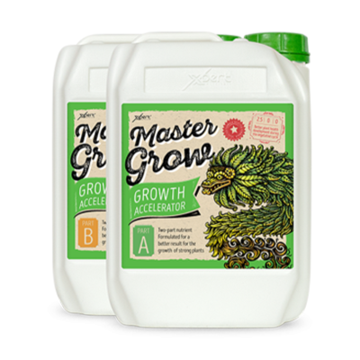 Master Grow A + B - mineral fertilizer for growth