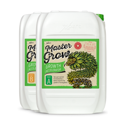 Master Grow A + B - mineral fertilizer for growth