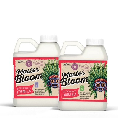 Master Bloom A + B - mineral fertilizer for flowering