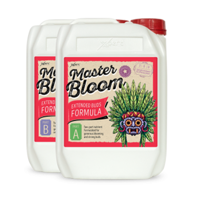 Master Bloom A + B - mineral fertilizer for flowering