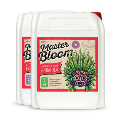 Master Bloom A + B - mineral fertilizer for flowering