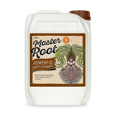 Master Root – Stimulator für die Wurzel