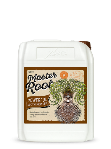 Master Root - Stimulator for Root