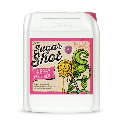 Sugar Shot - carbohydrate supplement