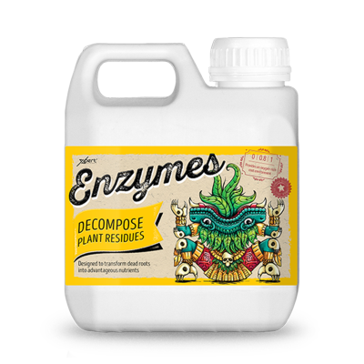 Enzymes - Enzyme supplement