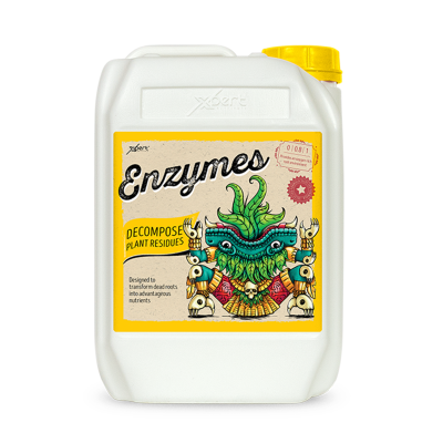 Enzymes - Enzyme supplement