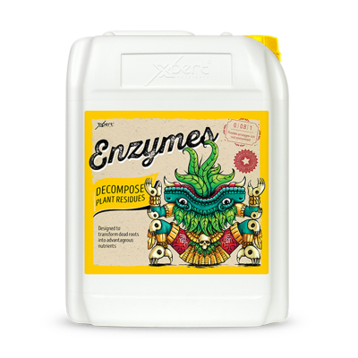 Enzymes - Enzyme supplement