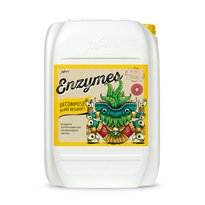 Enzymes - Enzyme supplement