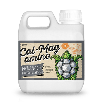 Cal-Mag Amino - calcium and magnesium supplement