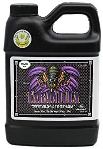 Tarantula - root stimulator