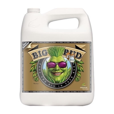 Big Bud Coco - color weight and volume stimulator in coconut