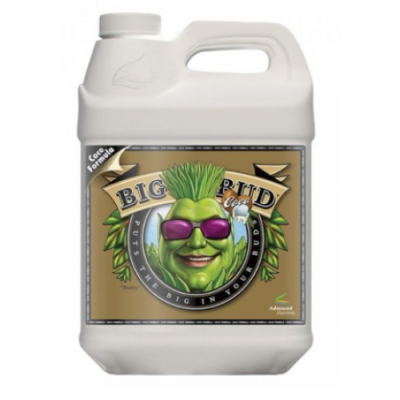 Big Bud Coco - color weight and volume stimulator in coconut