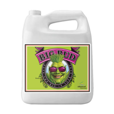 Big Bud - Stimulator of color weight and volume