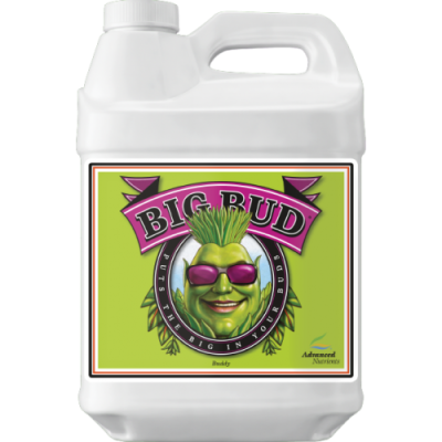 Big Bud - Stimulator of color weight and volume