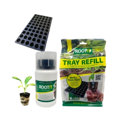 Set for seedlings - ROOT!T coco blocks 60 + tray 60 + ROOT!T First Feed