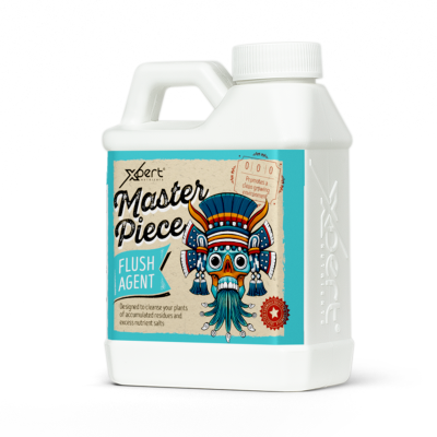 Masterpiece - Soluție de curățare