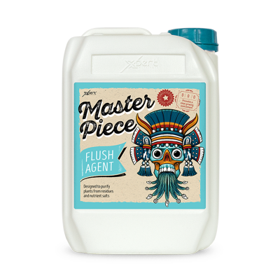 Masterpiece - Soluție de curățare