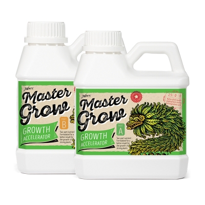 Master Grow A + B - mineral fertilizer for growth