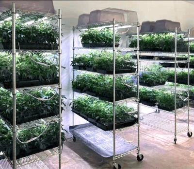 Професионален комплект за вкореняване Flexstar Clone LED 18W (2 броя)