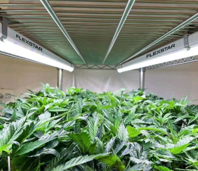 Професионален комплект за вкореняване Flexstar Clone LED 18W (2 броя)