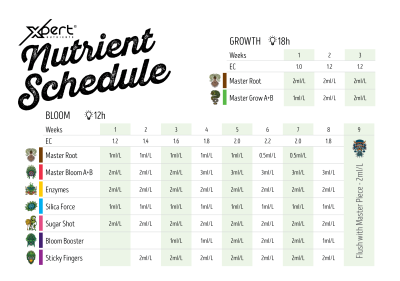 Enzyme – Enzympräparat