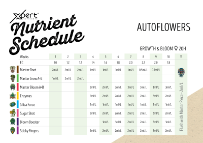 Xpert Nutrients Kit - Master Grow/Bloom/Root x 5L
