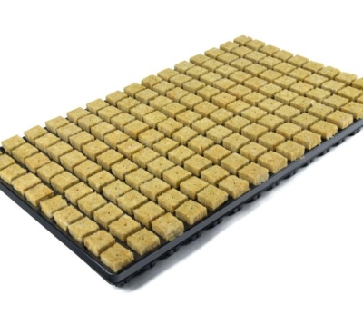 Grodan / Cultilene TRAY - tray with mineral wool germination blocks