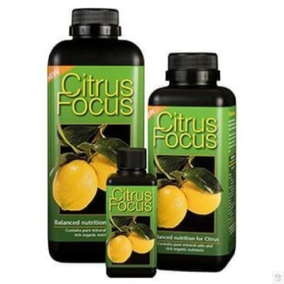 Citrus Focus – Течен тор за цитрусови растения